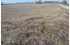 Property photo 28 - East Allen County - 55 Acre Land Auction